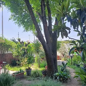 With A Garden Milano